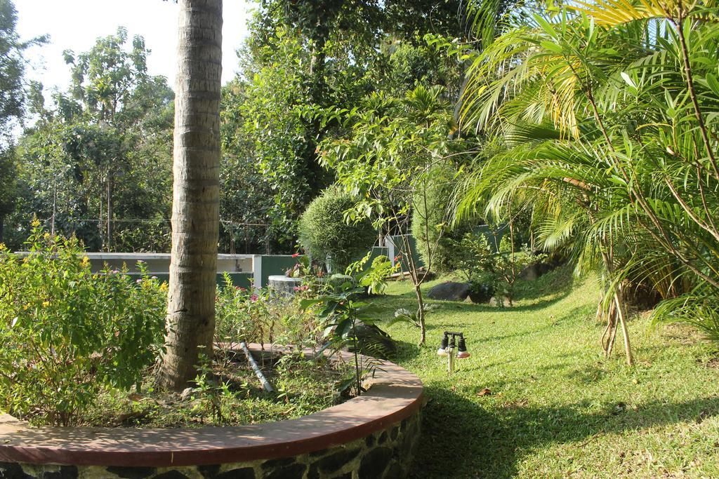 Green View Holiday Resort Kandy Luaran gambar